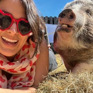 Meet your Posher, Amy